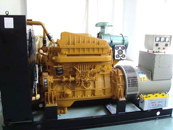 钟山有哪些有效的方法可以预防柴油发电机组的蓄电池出现硫化现象？